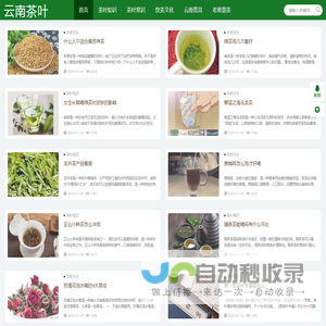 云南茶叶