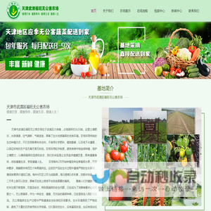 天津无公害蔬菜配送到家