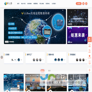 大连莱立佰信息技术有限公司