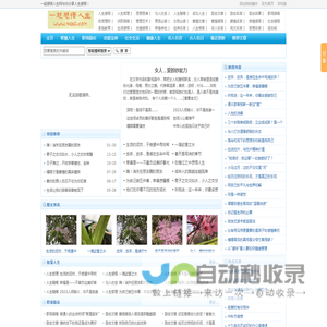 人生感悟的文章/句子