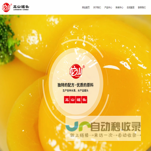 大石桥市龙山罐头食品有限公司