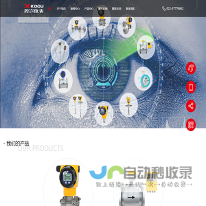 气体质量流量控制器