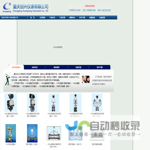重庆创兴仪表有限公司