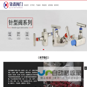 针型阀
