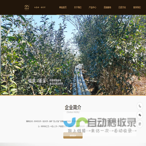 福鼎大品茶业有限公司