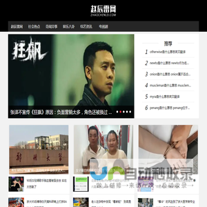 赵辰雷网