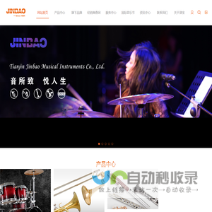 天津市津宝乐器有限公司