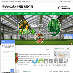 番茄种子