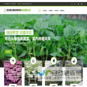 武汉维尔福生物科技股份有限公司