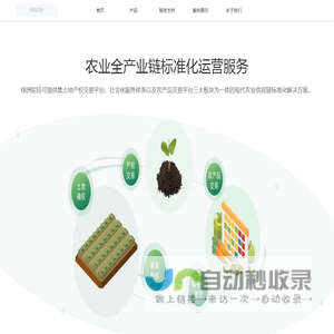 绿洲驼铃
