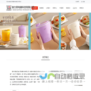 潮州市潮安区叁力思电器科技有限公司