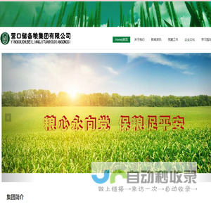 营口储备粮集团有限公司