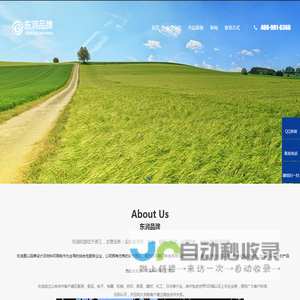 上海画册设计公司