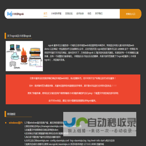 Ngrok国内免费服务器