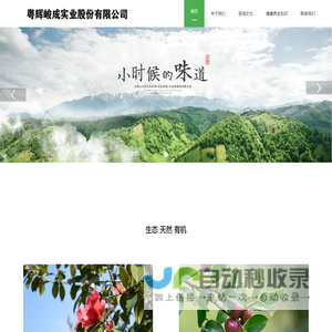 粤辉峻成实业股份有限公司