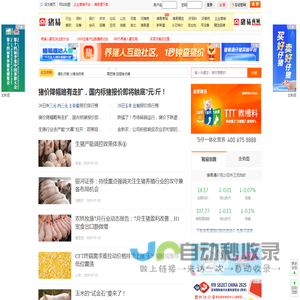 猪易网