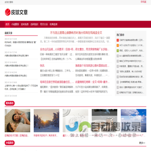 皮球文章网