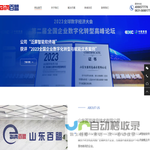 山东百盟信息技术有限公司,IPTV软终端