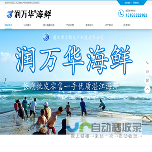 湛江海鲜