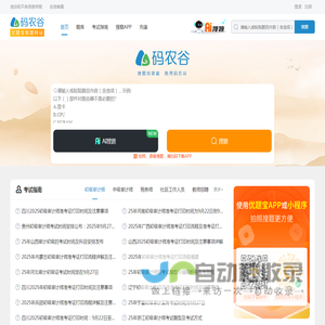 码农谷：职业资格考试试题与答案大全