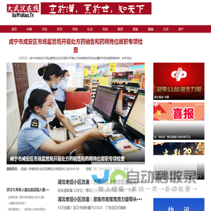 大武汉在线