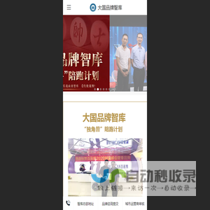 大国品牌智库