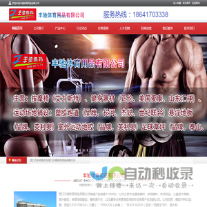 营口丰驰体育