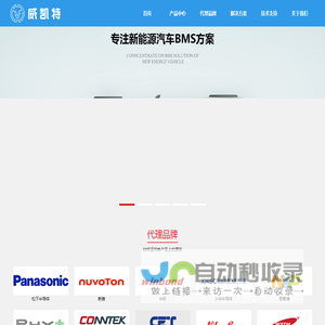 智能微控制处理器解决方案供应商