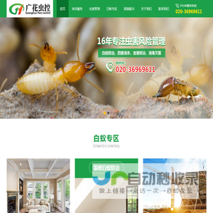 花都白蚁防治