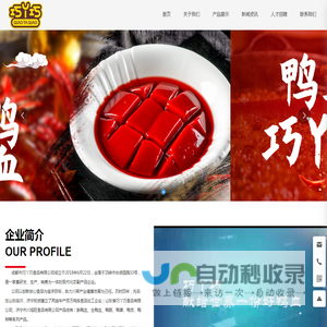 成都市巧丫巧食品有限公司