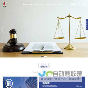 专注刑事