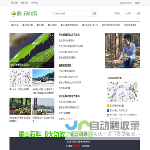 霍山石斛的功效与用法