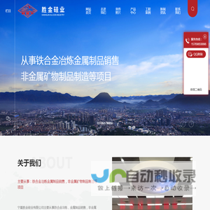 宁夏胜金硅业有限公司