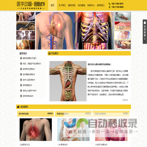 医学动画