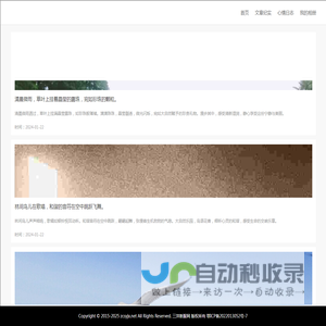 三洋新服网