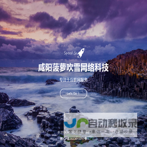 咸阳菠萝吹雪网络科技