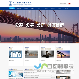 湖北省拍卖行业协会
