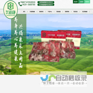 兴城舒磁康健康科技有限公司,豪华舒适便携式地磁床垫,慢回弹贵族学生婴幼儿地磁枕,慢回弹地磁坐垫,兴佰康