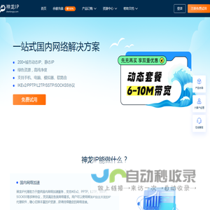 神龙ip官网