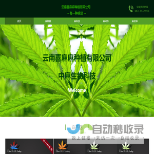 首页