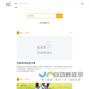宠玩季