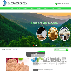 乌天麻,原生态天麻,天麻批发