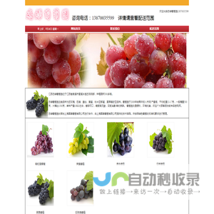 忠绿葡萄园