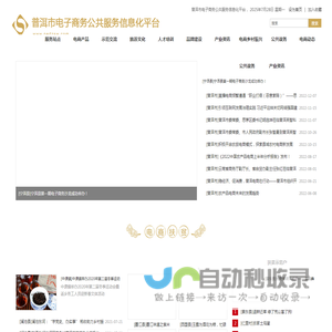 普洱市电子商务公共服务信息化平台
