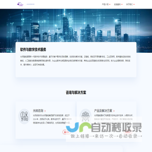 软件与数字技术服务