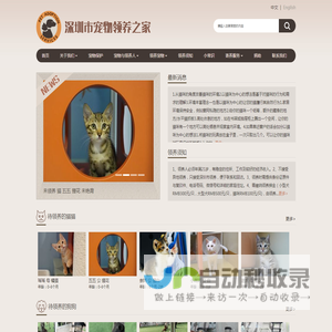 深圳宠物领养中心