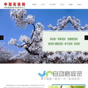 中国花粉网