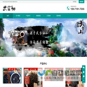武当和
