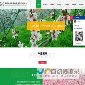昆明文生果业有限责任公司