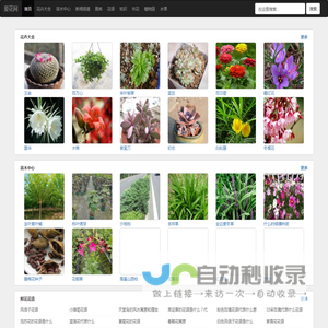 花卉